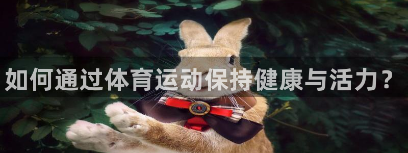 3377体育官网下载平台APP