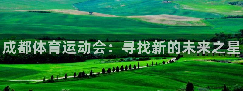 海南3377体育官网下载：成都体育运动会：寻找新的未