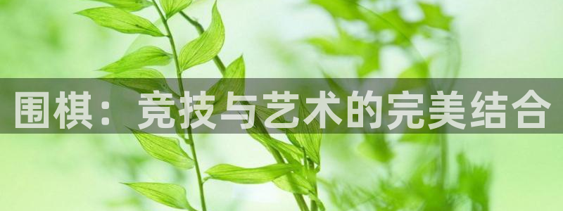 3377体育官方正版app科技：围棋：竞技与艺术的完美结合