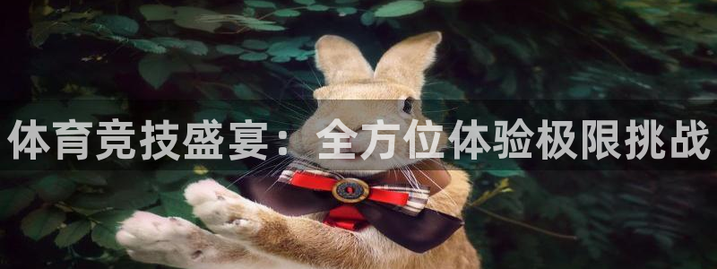3377体育官网下载：体育竞技盛宴：全方位体验极限挑战