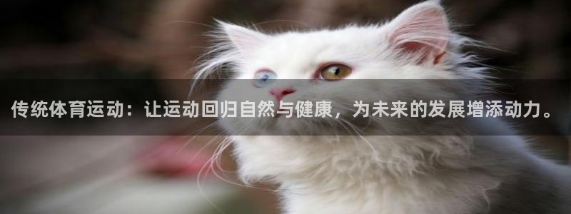3377体育官网下载平台注册流程图：传统体育运动：让