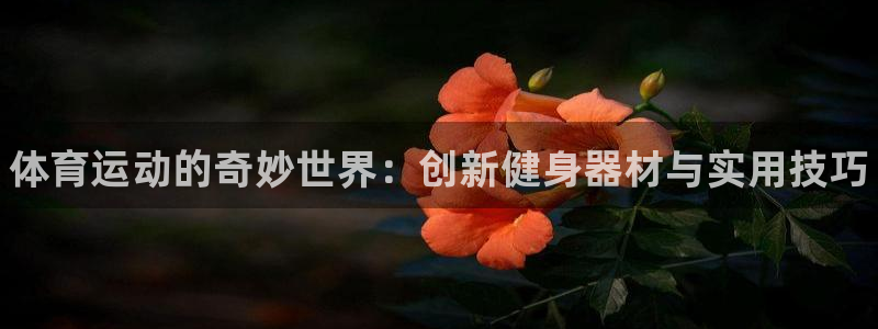 3377体育官方正版app娱乐是那个系列的台子：体育运动的奇