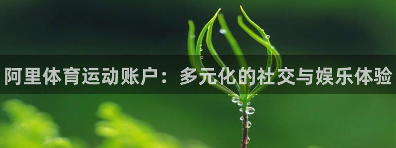 3377体育官方正版app官方：阿里体育运动账户：多