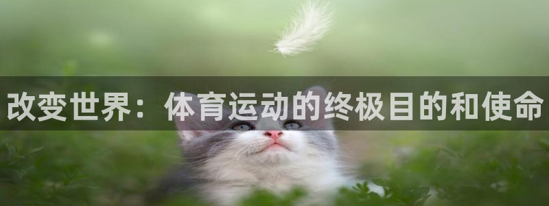 3377体育官方正版app新能源：改变世界：体育运动的终极目