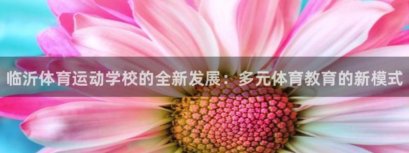 3377体育官网下载平台
