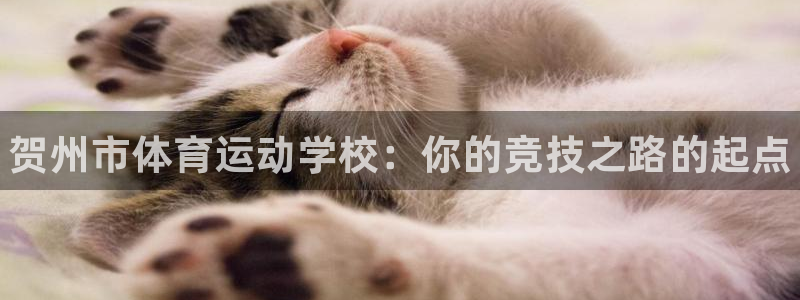 3377体育官网下载平台是正规平台吗安全吗