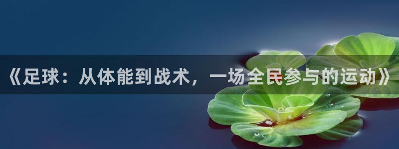 3377体育官网下载平台APP