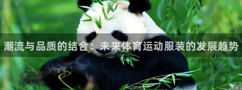 3377体育官网下载招商电话是多少啊：潮流与品质的结合：未来