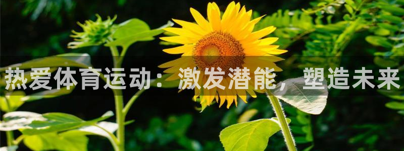 3377体育官网下载平台注册要钱吗安全吗：热爱体育运动：激发