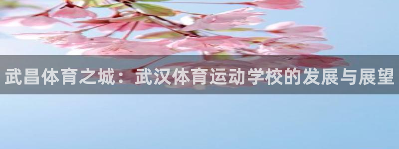 3377体育官网下载招商电话