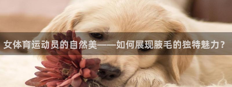 3377体育官方正版app集团官网首页网址：女体育运动员的自