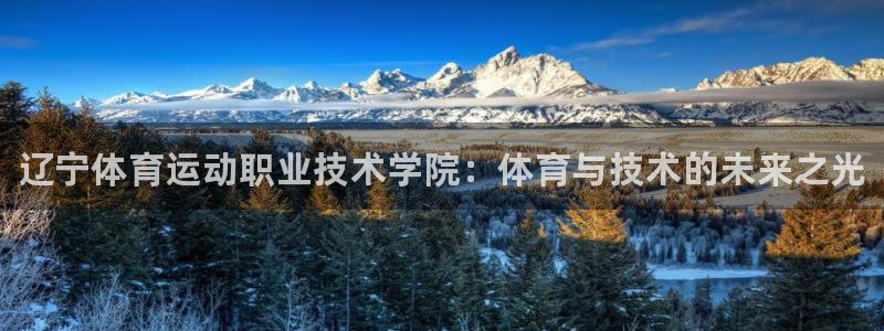 3377体育官方正版app开户：辽宁体育运动职业技术