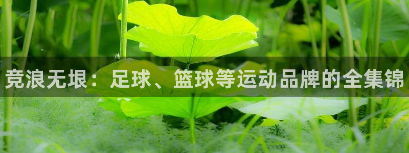 3377体育官网下载平台是正规平台吗知乎：竞浪无垠：足球、篮