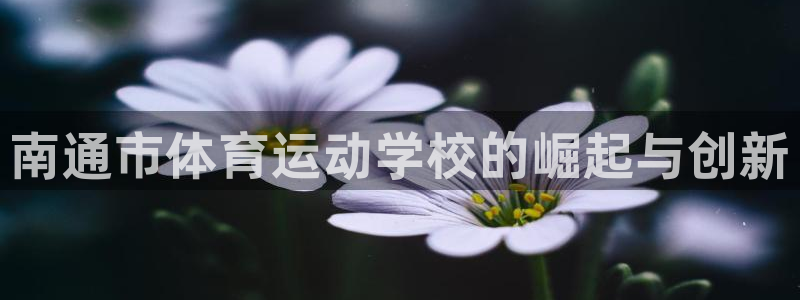 3377体育官方正版app代理：南通市体育运动学校的崛起与创