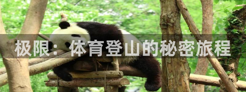 3377体育官方正版app娱乐下载：极限：体育登山的秘密旅程