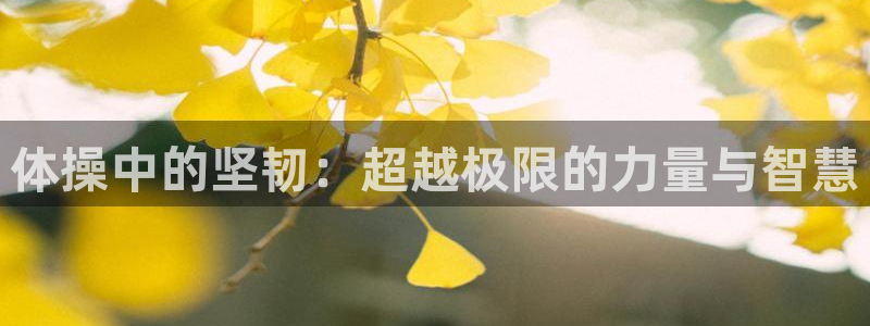 3377体育官方正版app集团简介：体操中的坚韧：超越极限的