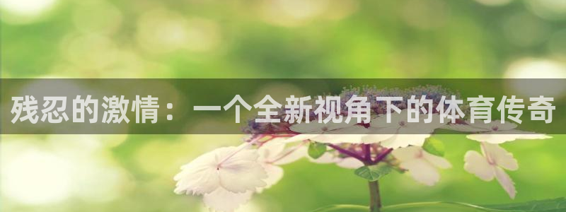 3377体育官网下载招商电话号码是多少啊：残忍的激情：一个全
