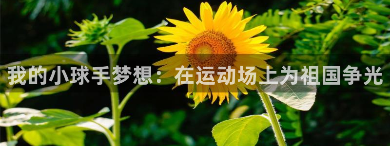 3377体育官网下载平台注册要钱吗是真的吗：我的小球手梦想：