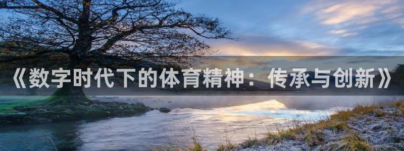 3377体育官网下载是干嘛的公司：《数字时代下的体育精神：传