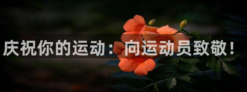 3377体育官网下载招商电话是多少
