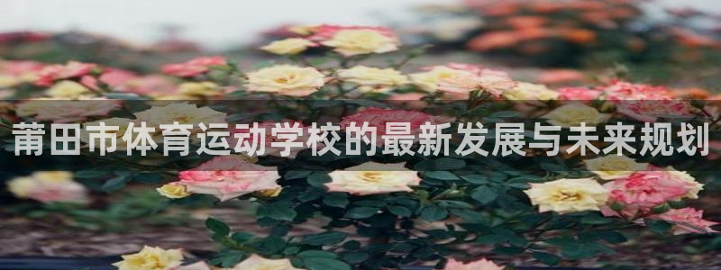 3377体育官方正版app娱乐首页网站大全：莆田市体育运动学