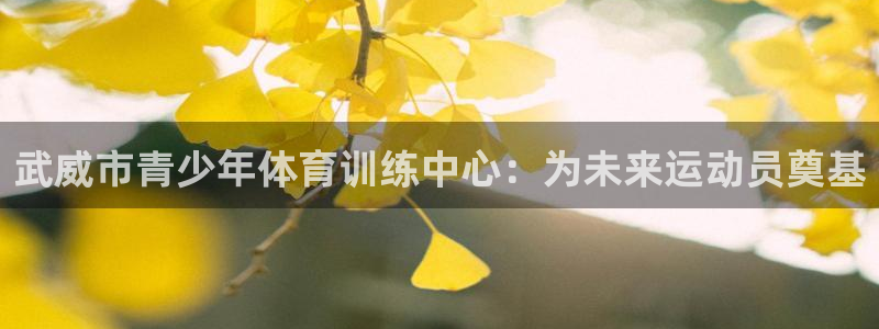 3377体育官网下载平台注册要钱吗安全吗：武威市青少年体育训