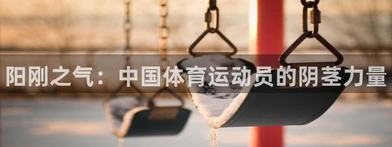 3377体育官网下载平台注册要钱吗：阳刚之气：中国体育运动员