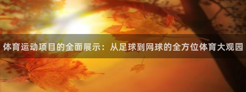 海南3377体育官网下载：体育运动项目的全面展示：从足球到网