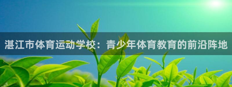 3377体育官方集团官网
