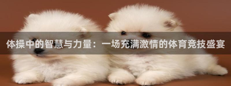 3377体育官方正版app娱乐：体操中的智慧与力量：一场充满