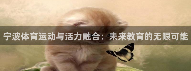 3377体育官网下载平台是正规平台吗：宁波体育运动与活力融合