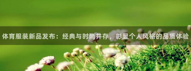 3377体育官方正版app娱乐网站