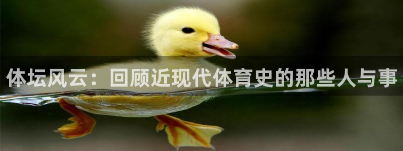 3377体育官方正版app集团官网网址