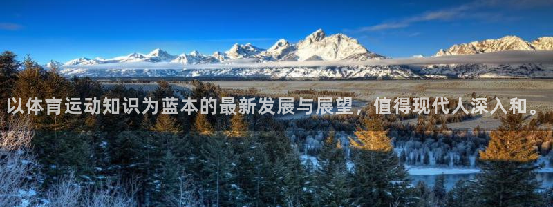 3377体育官网下载娱乐