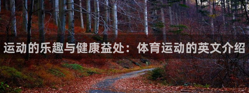 海南3377体育官网下载