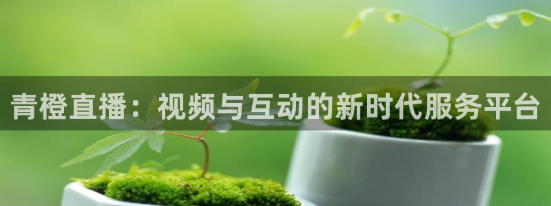 火凤直播体育app下载安装：青橙直播：视频与互动的新时代服务平台